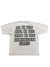 Load image into Gallery viewer, GREY SEE NO EVIL T SHIRT